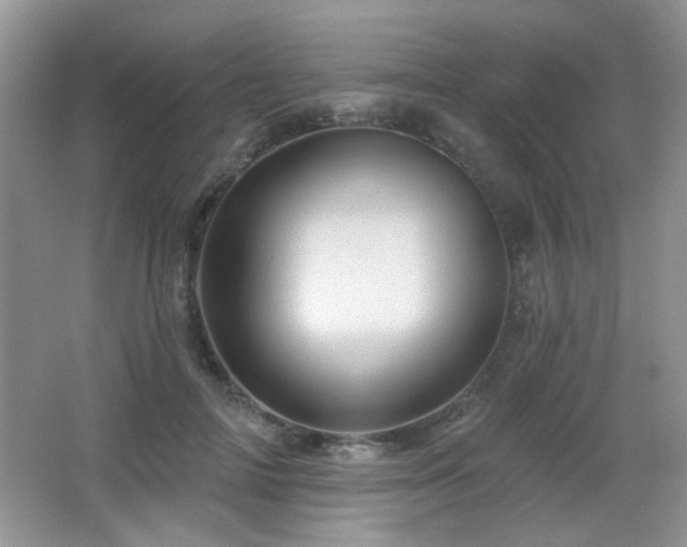 X0000066010698200603031223