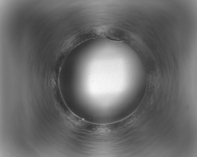 X0000066010702200603031223