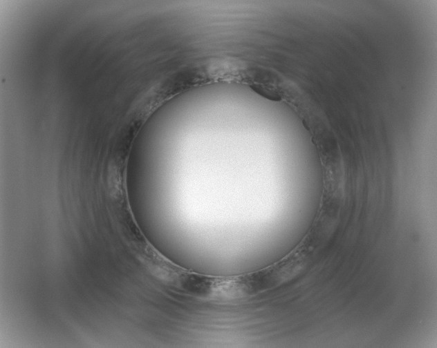 X0000066010705200603031223
