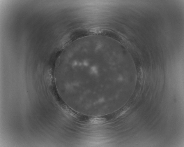 X0000066010707200603031223