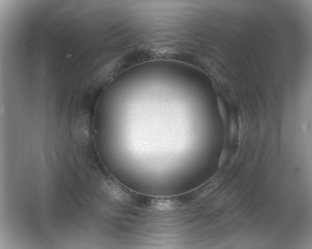 X0000066010710200603031223