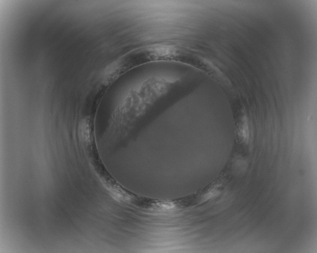X0000066010715200603031223