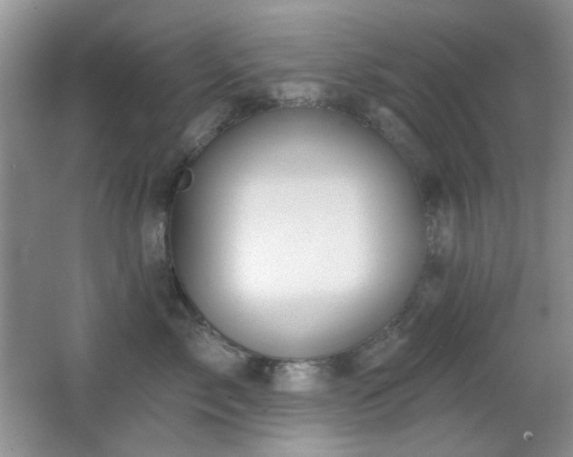 X0000066010717200603031223