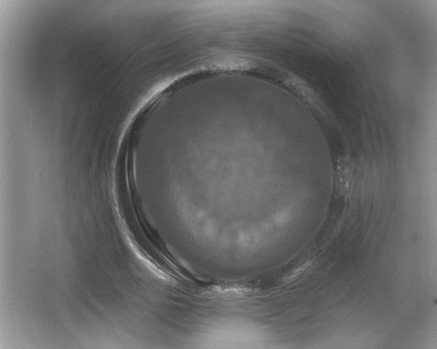 X0000066010726200603031222