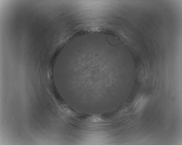 X0000066010747200603031222