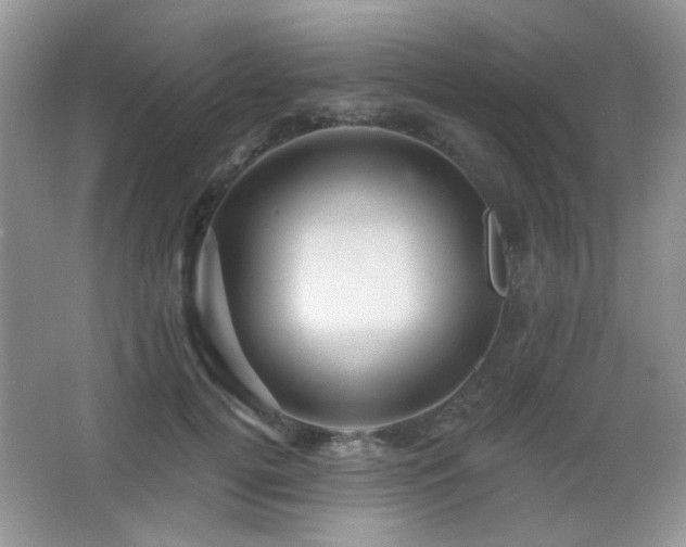 X0000066010752200603031223