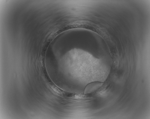 X0000066010758200603031223