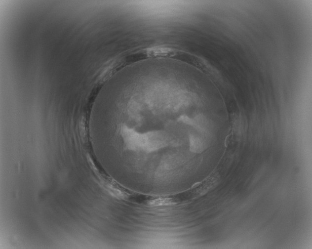 X0000066010761200603031223