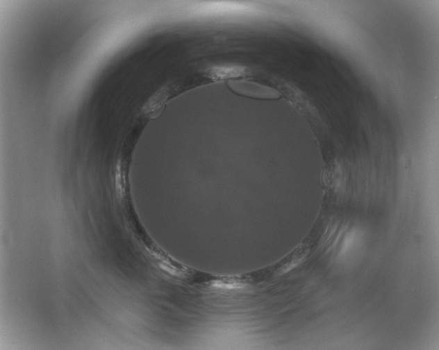 X0000066010763200603031223