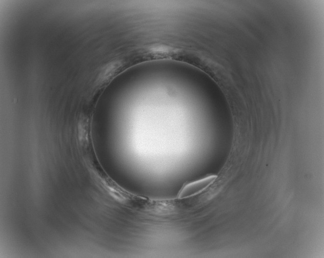 X0000066010768200603031223