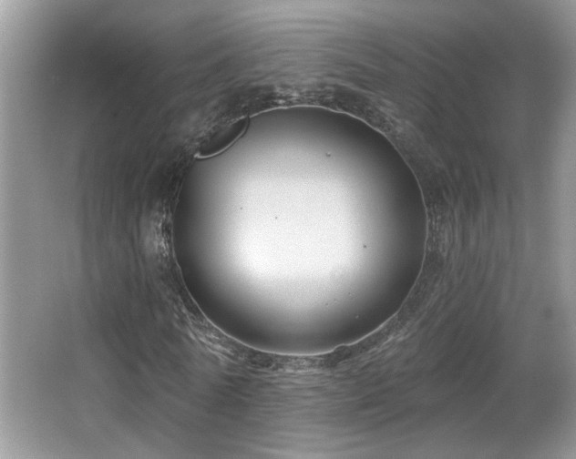 X0000066010770200603031222