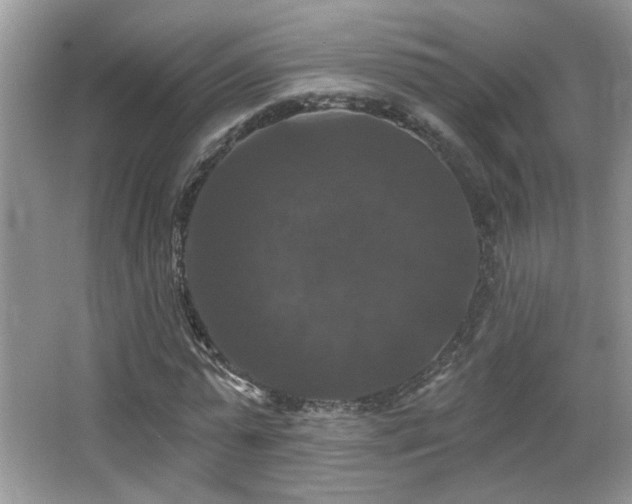 X0000066010775200603031222