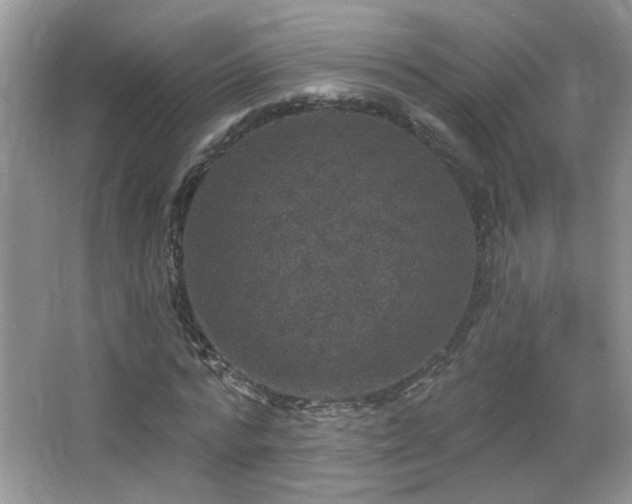 X0000066010776200603031222