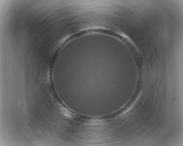 X0000066010777200603031222