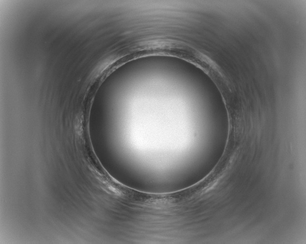 X0000066010778200603031222