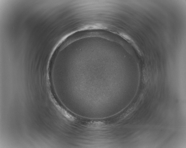 X0000066010784200603031222