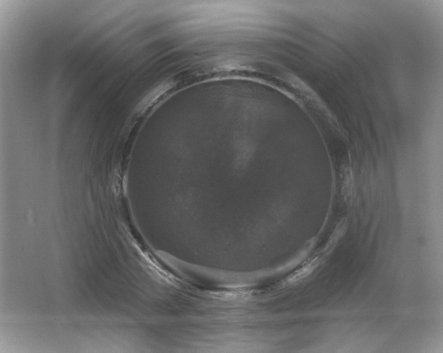 X0000066010785200603031222
