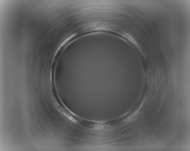 X0000066010790200603031222