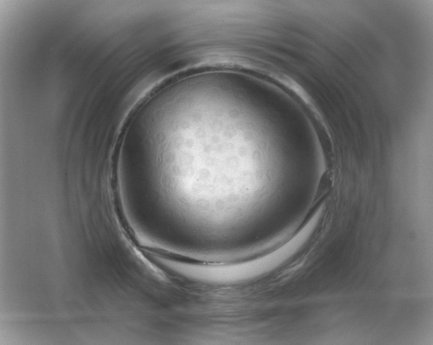 X0000066010799200603031222