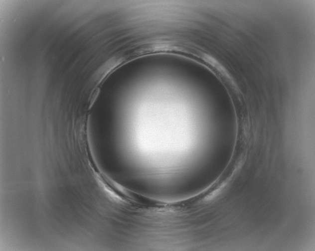 X0000066010801200603031221