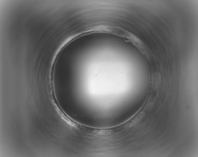 X0000066010808200603031221