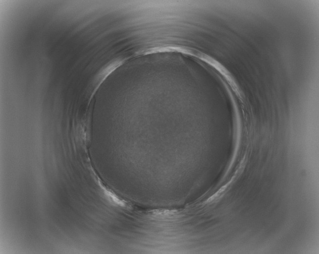 X0000066010809200603031221