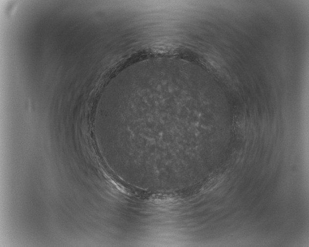 X0000066010817200603031220