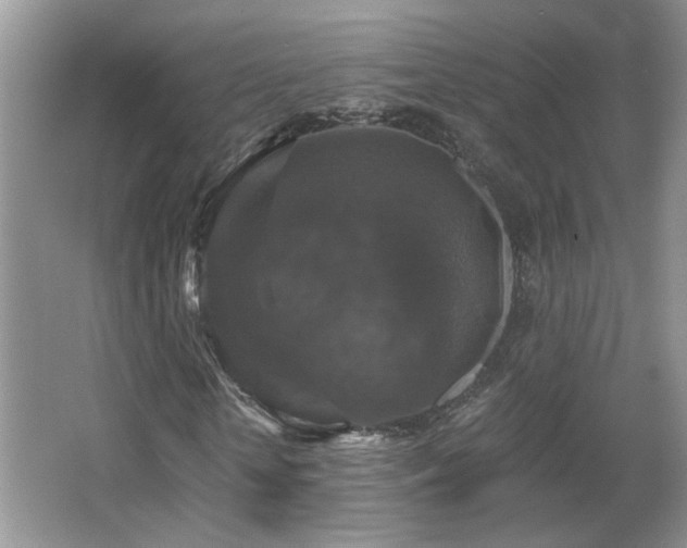 X0000066010818200603031220