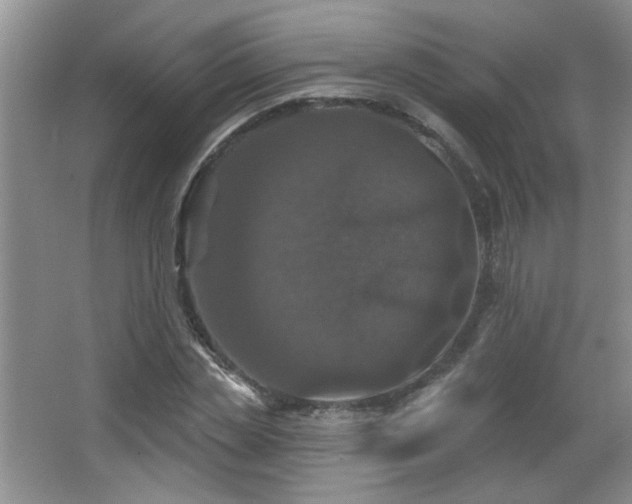 X0000066010829200603031221