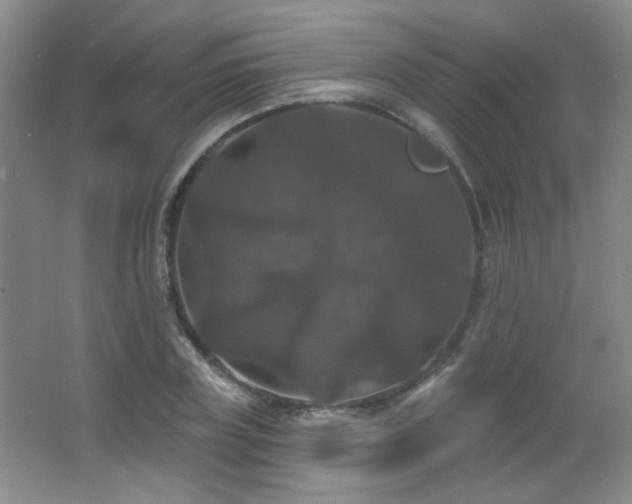 X0000066010835200603031221