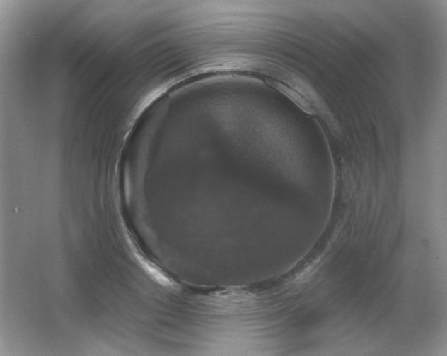 X0000066010842200603031221