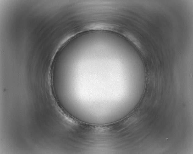 X0000066010848200603031221