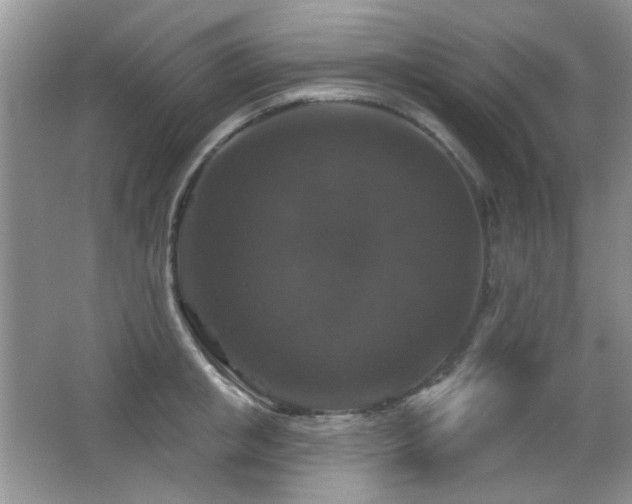 X0000066010853200603031221
