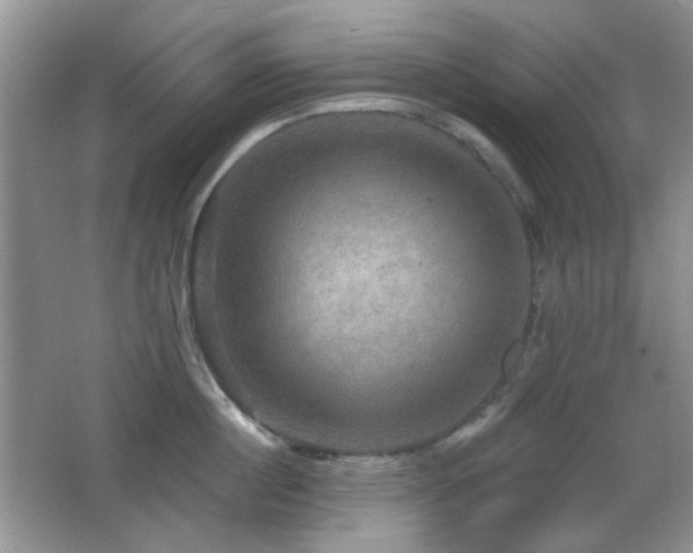 X0000066010860200603031221