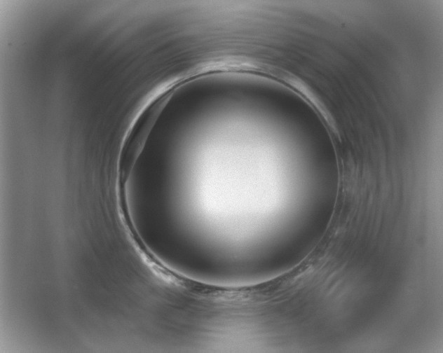 X0000066010861200603031221