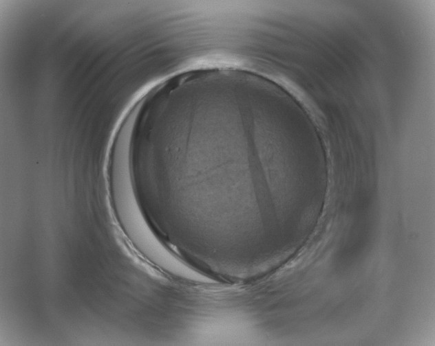 X0000066010864200603031221