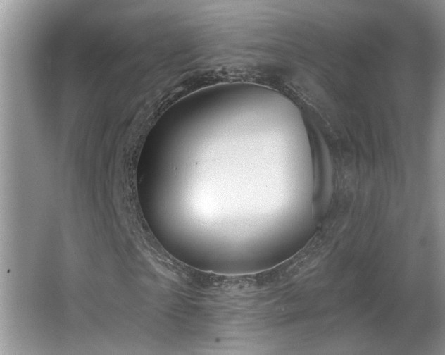 X0000066010865200603031220