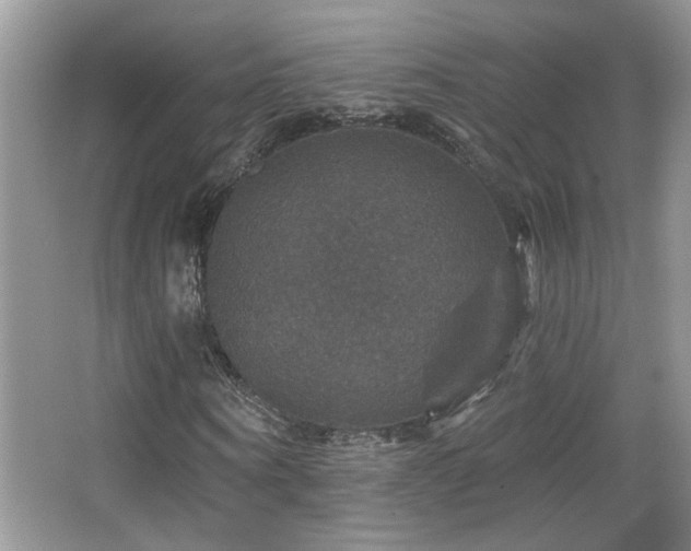 X0000066010866200603031220