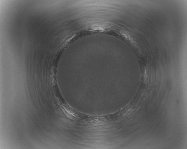 X0000066010868200603031220