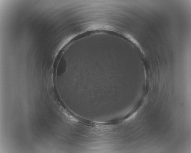 X0000066010877200603031220