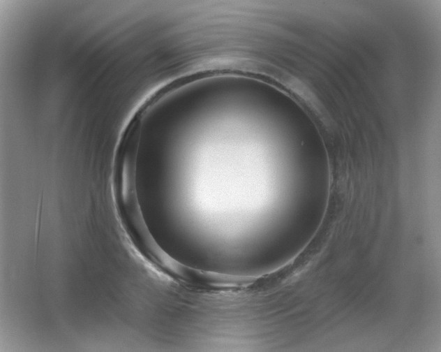 X0000066010888200603031220