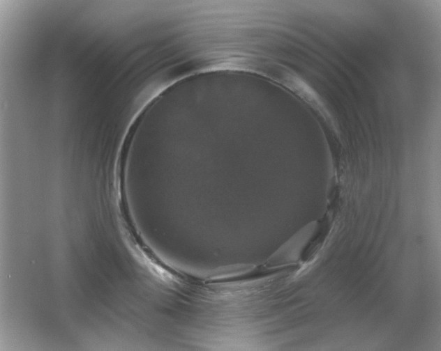 X0000066010892200603031220