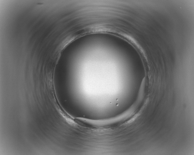 X0000066010897200603031220