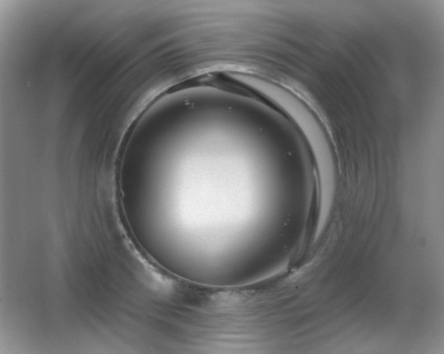 X0000066010898200603031220