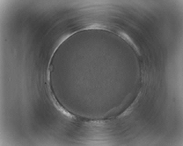 X0000066010900200603031220