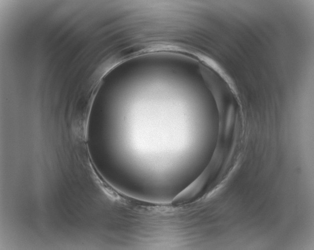X0000066010905200603031220