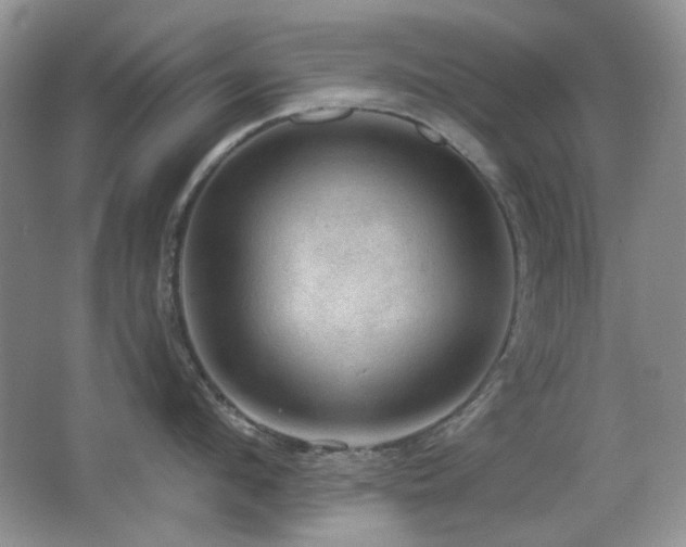 X0000066010912200603031220
