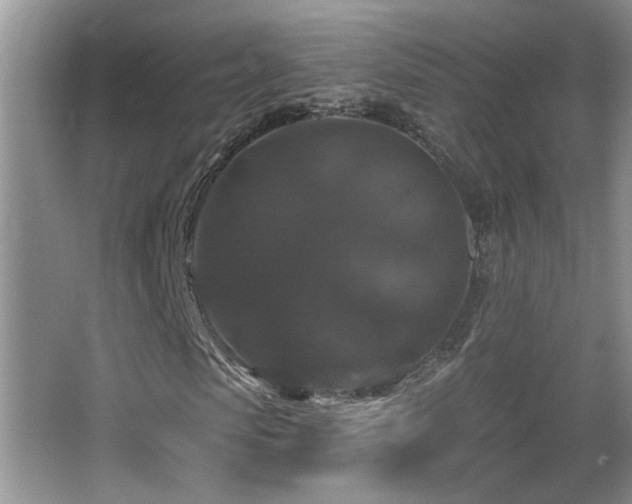 X0000066010913200603031219