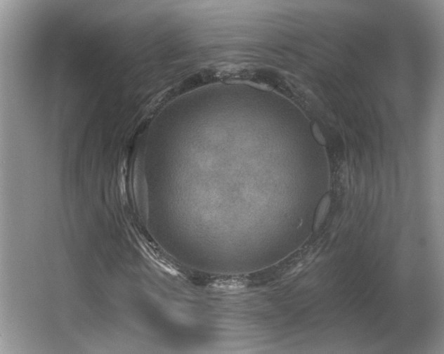 X0000066010914200603031219