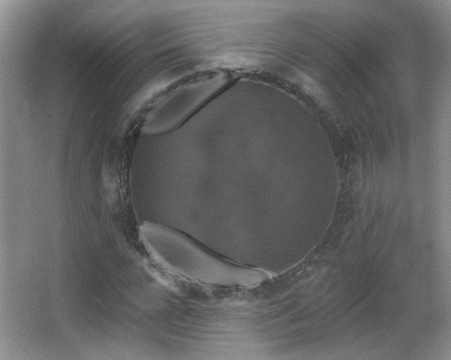 X0000066010920200603031219